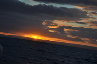 Stintino - Sonnenaufgang auf dem Meer