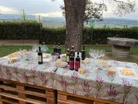Am Nachmittag erwartet uns LUCIANO auf seinem Weingut Az.Agr. IL LEBBIO in San Gimignano