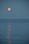 Der Mond scheint orange auf dem Meer. Das Foto ist Natur pur - ohne Photoshop o.ä. gemacht!