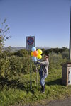 Die Wegweiser-Luftballons