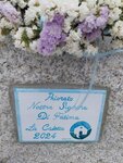 Unser Heimathafen La Caletta wird jetzt von Nostra Signora di FATIMA beschützt. Unser Heimathafen La Caletta wird jetzt von Nostra Signora di FATIMA beschützt.
