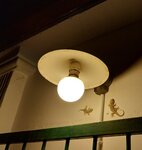 Die Gecko-Familie beim abendlichen Snack in der Hafenbar.