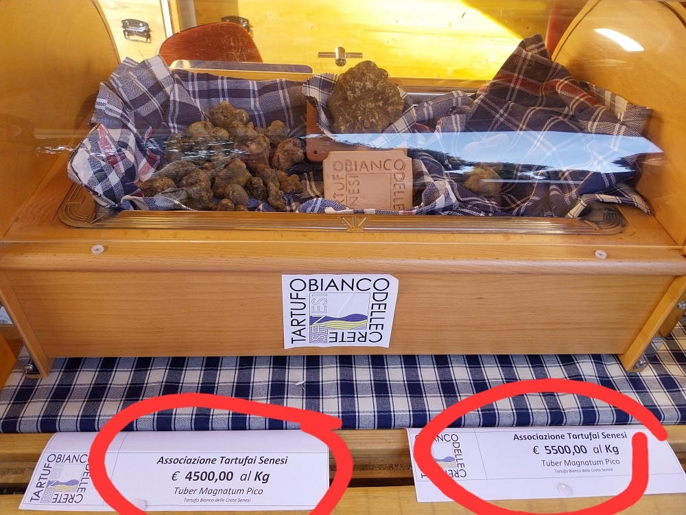 gesellige Genuss-Reise für Genießer in der Toskana