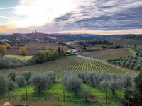 Blick von unserer Villa auf San Gimignano