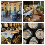Weinprobe bei PALAGETTO