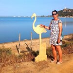 Zur Veranschaulichung: ein Flaming aus Holz, im Hintergrund im Meerwassersee sind die echten (allerdings kaum sichtbar)