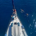 Foto von oben, die halbe Crew macht noch einen Frühschwimmer.