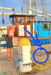 Anlger-Glück ohne Angel !!! Ein Blaufisch hüpfte jagend aus dem Wasser und uns direkt vor die Füsse :-))