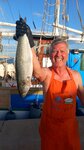 Pesce Serra (Blaufisch): ein absolutes Prachtexemplar, das Wolfgang prompt zubereitet hat.