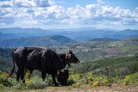 Typisch Sardinien