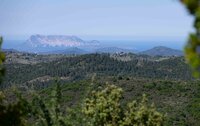 Bei Starkwind entscheiden wir mit den Segelgästen an Bord eine Landpartie zu machen. Oben im Montalbo Gebirge hat man einen tollen Blick auf die Tavolara.