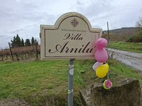 Schließlich geht den Luftballons nach 2 Wochen die Puste aus... Zeit zum Abschied nehmen.